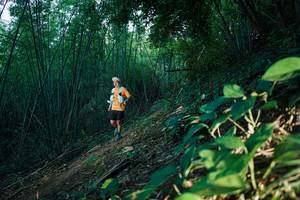 BIB: 
                            <button type="button" onclick="openModal(28124302)" class="btn btn-primary btn-sm float-right btn-popup" data-toggle="modal" data-target=".modal-high-quality">
                        <i class="fas fa-shopping-cart"></i> Add to Cart
                    </button>
                                            <button type="button" onclick="isThisMe(28124302, true)" class="btn btn-success btn-sm float-right btn-popup btn-isme hidden" data-toggle="tooltip" data-placement="bottom" title="นี่คือรูปของคุณใช่ไหม คลิกที่นี่เพื่อเอาเข้าอัลบั้ม">
                        <i class="fas fa-plus"></i> Add to album
                    </button>
                    <button type="button" onclick="isThisMe(28124302, false)" class="btn btn-warning btn-sm float-right btn-popup btn-isnotme hidden">
                        <i class="fas fa-ban"></i> Remove from album
                    </button>